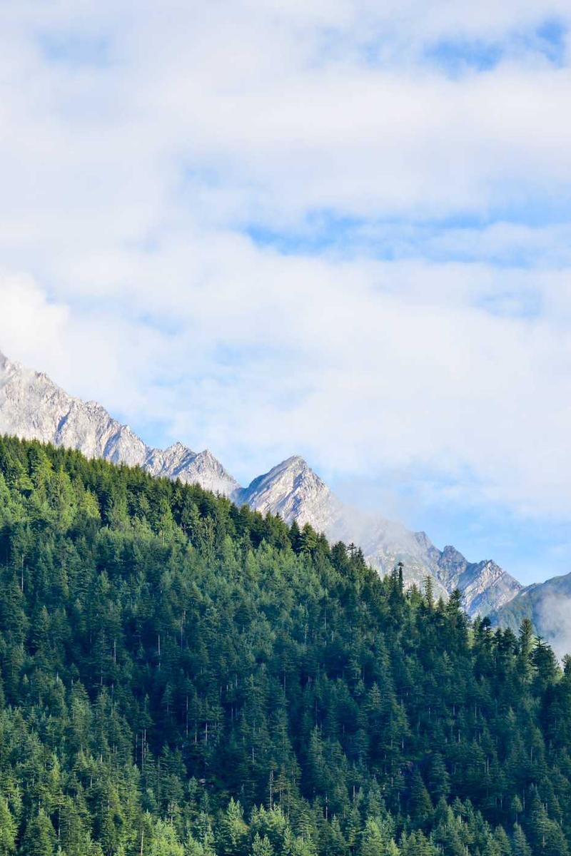 Expresión Artística