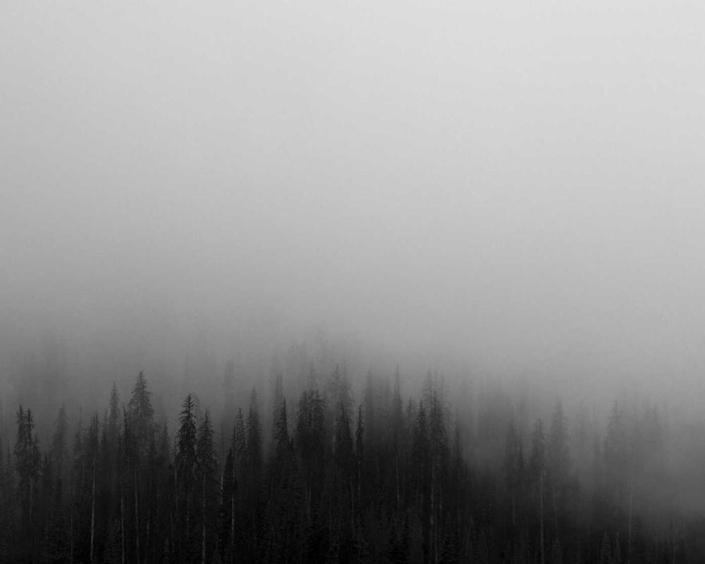 Estudiantes Conectados